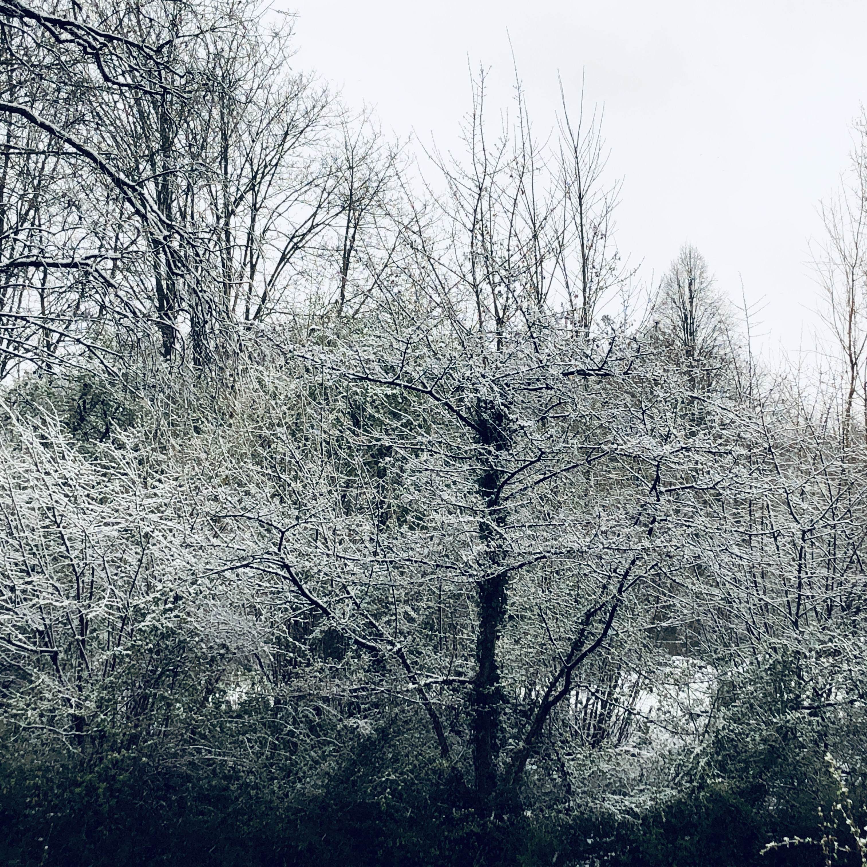 Een grapje van de natuur